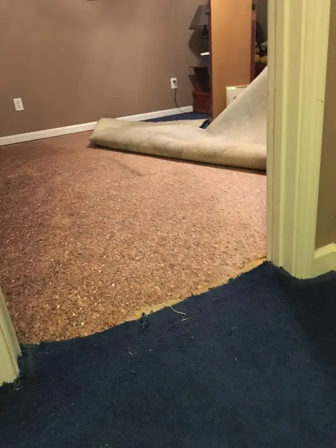 Carpet pad removal revealing water damage during Drying & Dehumidification in Silver Firs