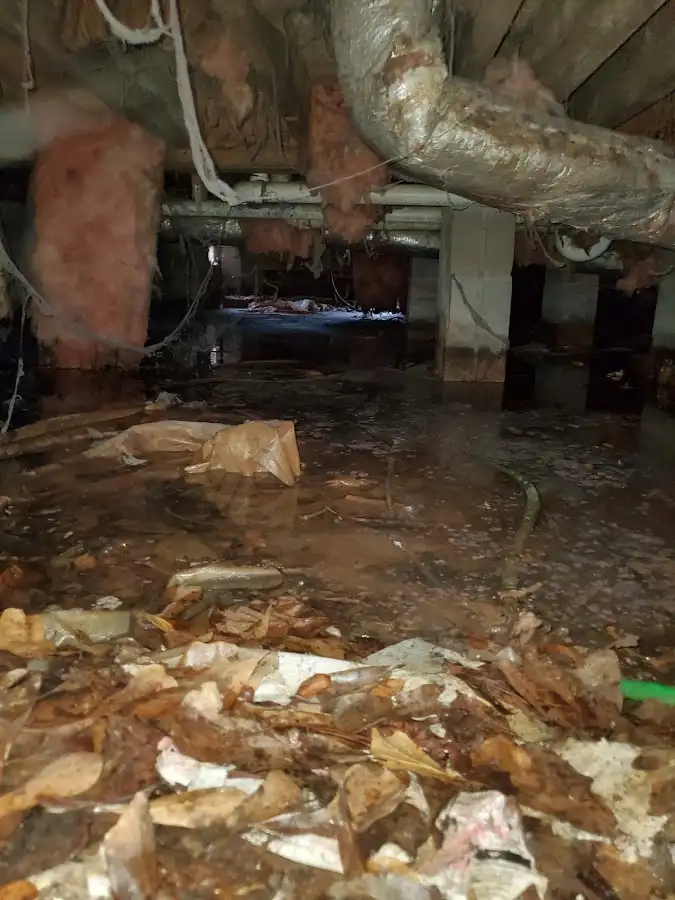 Crawl space flood assessment for Leak Detection & Repair in Silver Firs