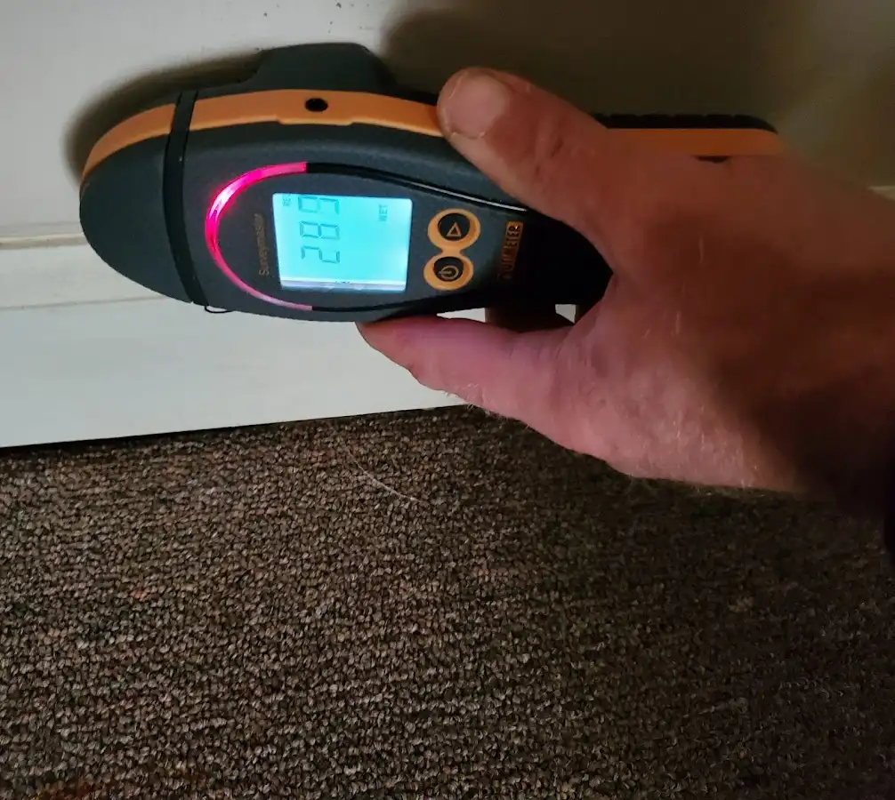 Moisture detection at baseboard during Burst Pipe Cleanup in Silver Firs